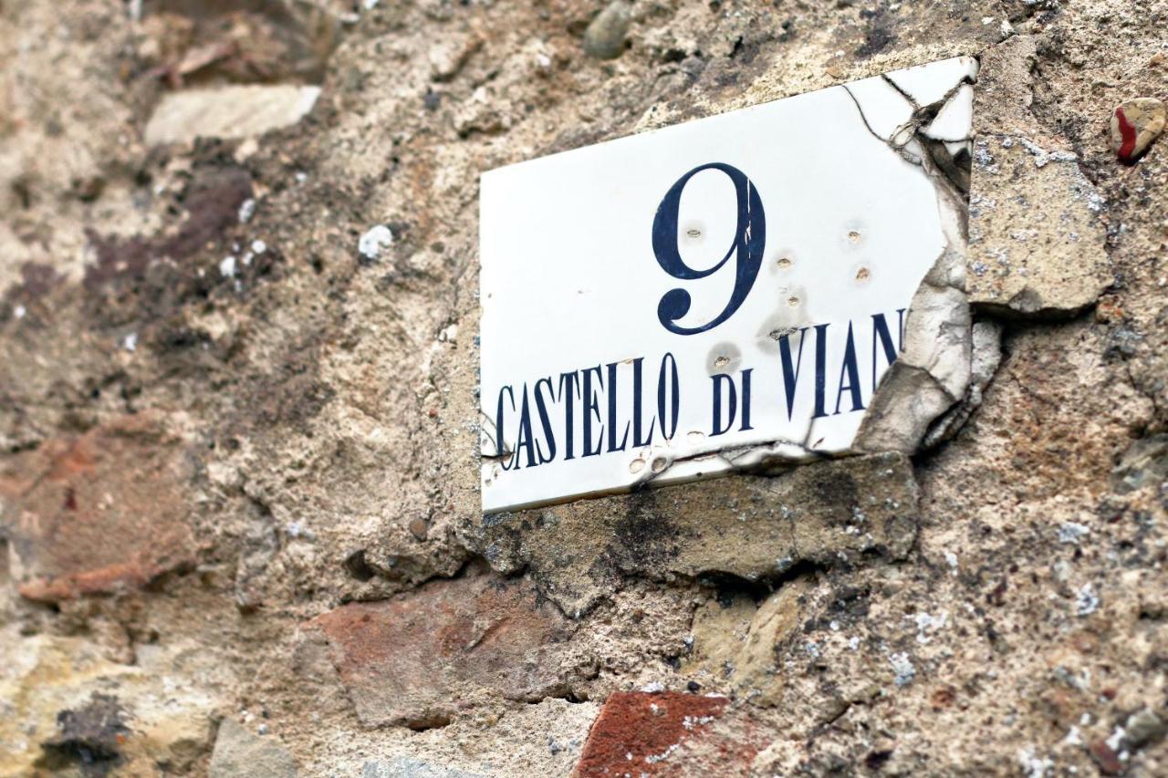 Castello Di Viano Villa Kültér fotó