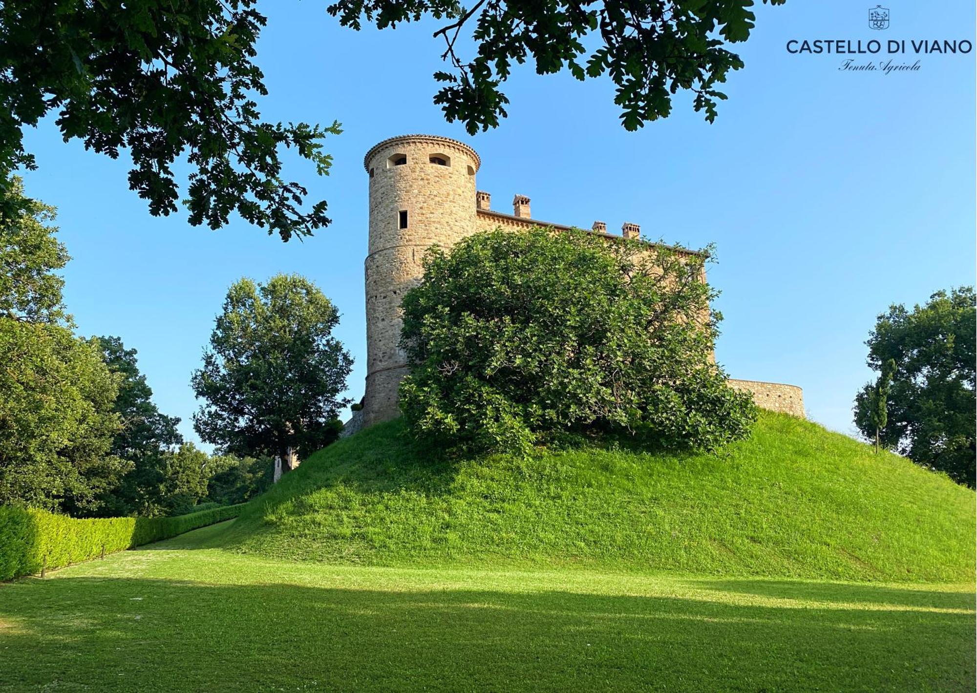 Castello Di Viano Villa Kültér fotó