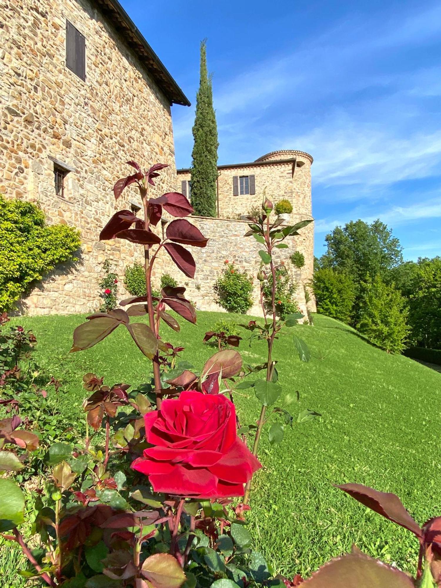 Castello Di Viano Villa Kültér fotó