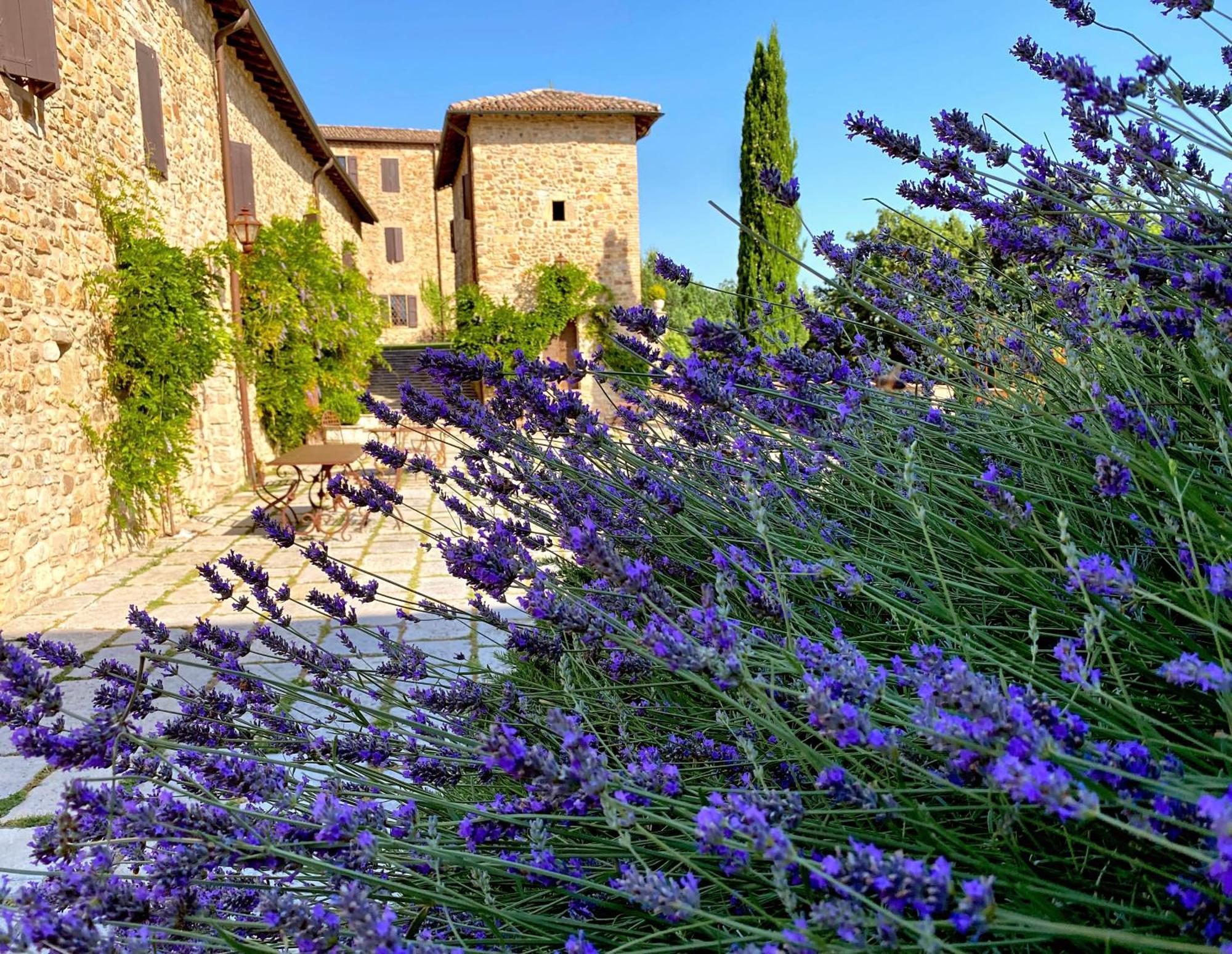 Castello Di Viano Villa Kültér fotó